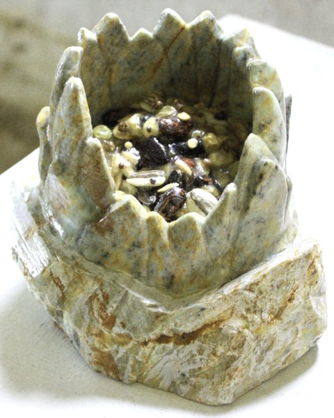 seed safe front view